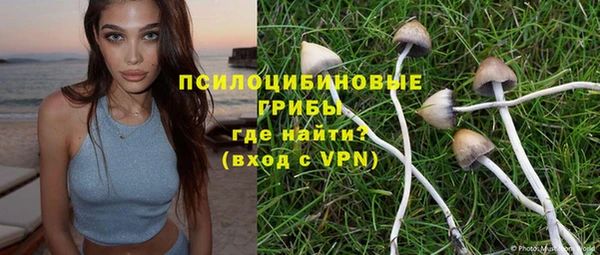 спайс Абаза