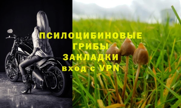 спайс Абаза