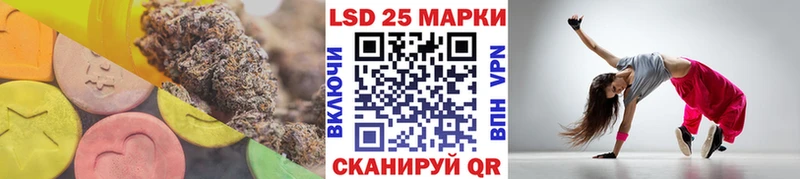 купить наркоту  Болотное  мега как зайти  Лсд 25 экстази кислота 